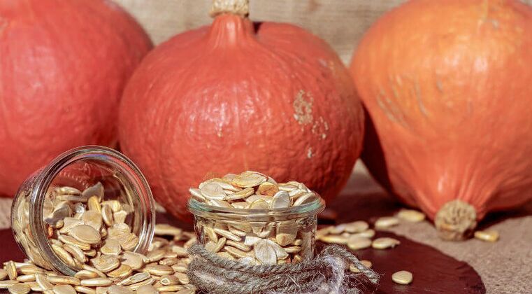 Pumpkin seeds of parasites